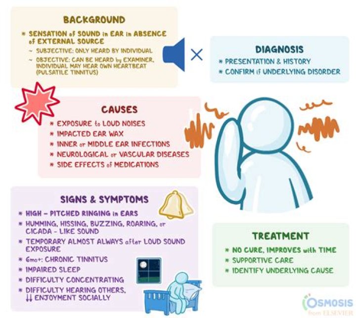 Can a screaming child cause hearing loss?