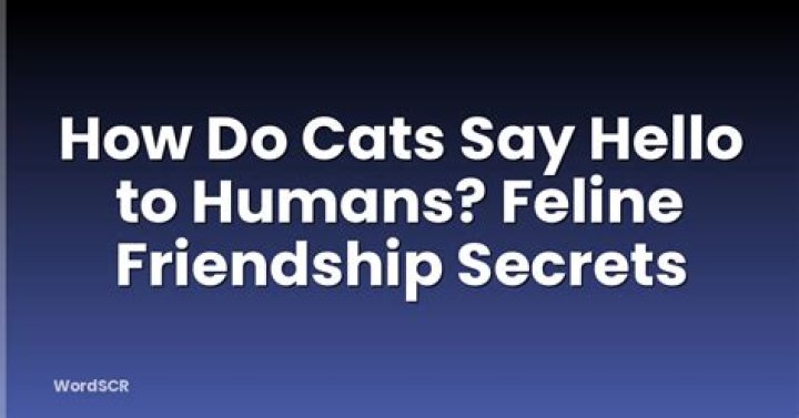 Do cats say hello?