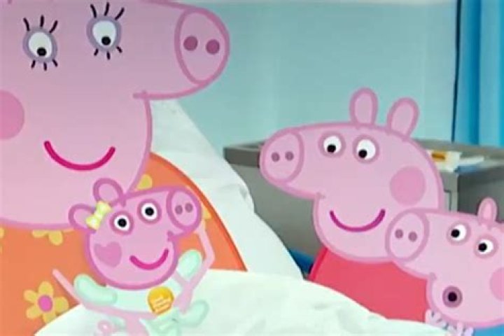 Does Peppa Pig have a twin sister?