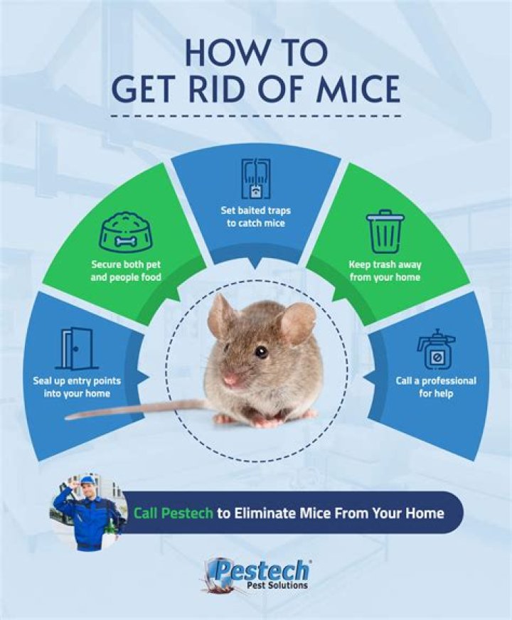 How do I keep mice out of my mattress?