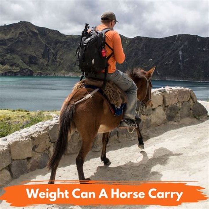 How much weight can a mule pull?