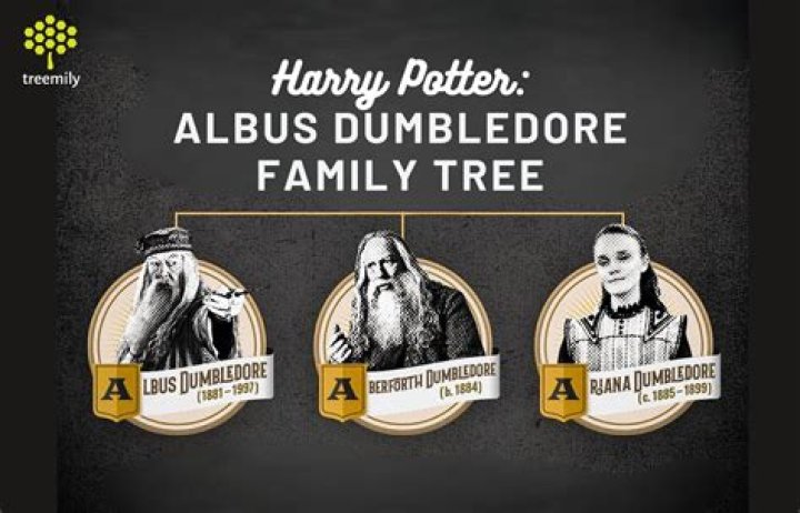 Is Credence Dumbledore's son?