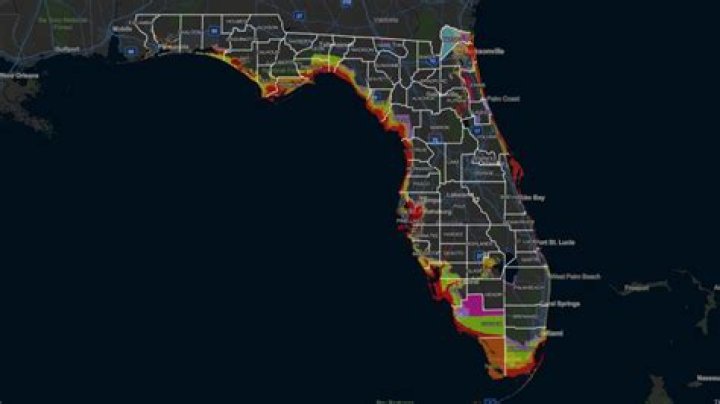 Is Tampa Bay a dead zone?