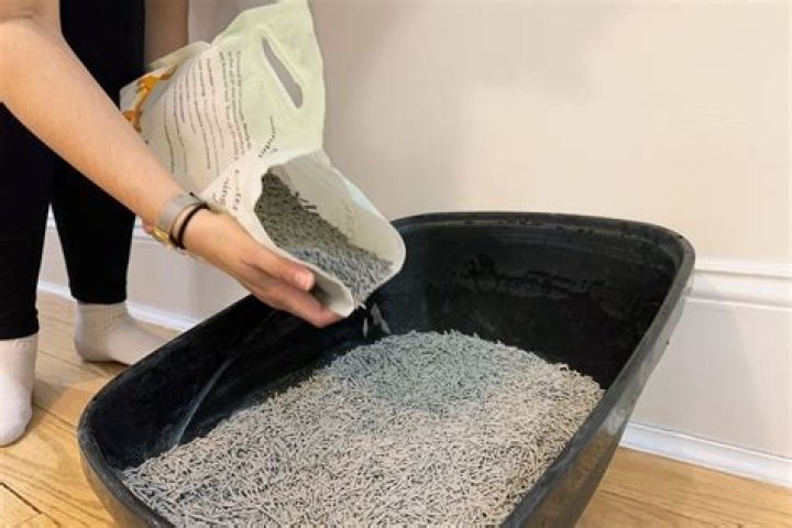 Is used cat litter good for a garden?