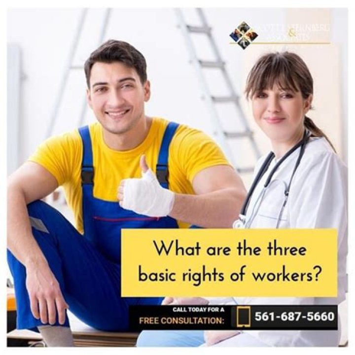 What are the three basic rights of workers?