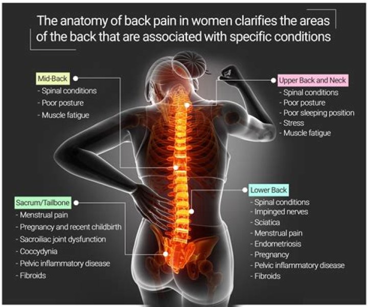 What causes lower back rib pain?