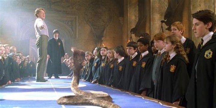 What did Harry and bathilda say in parseltongue?