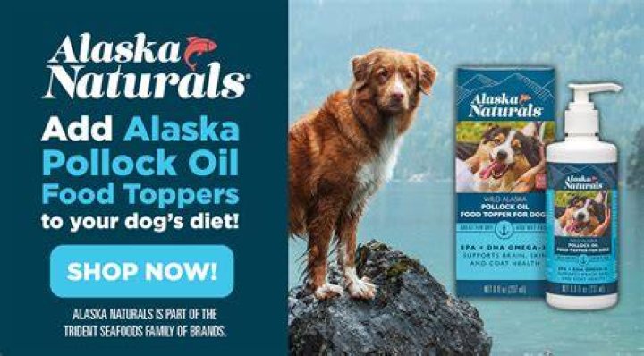 What does Pollock oil do for dogs?