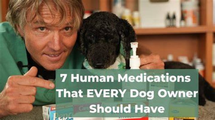 What human medication can dogs have?