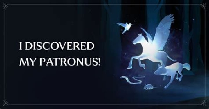 What is an Occamy Patronus?
