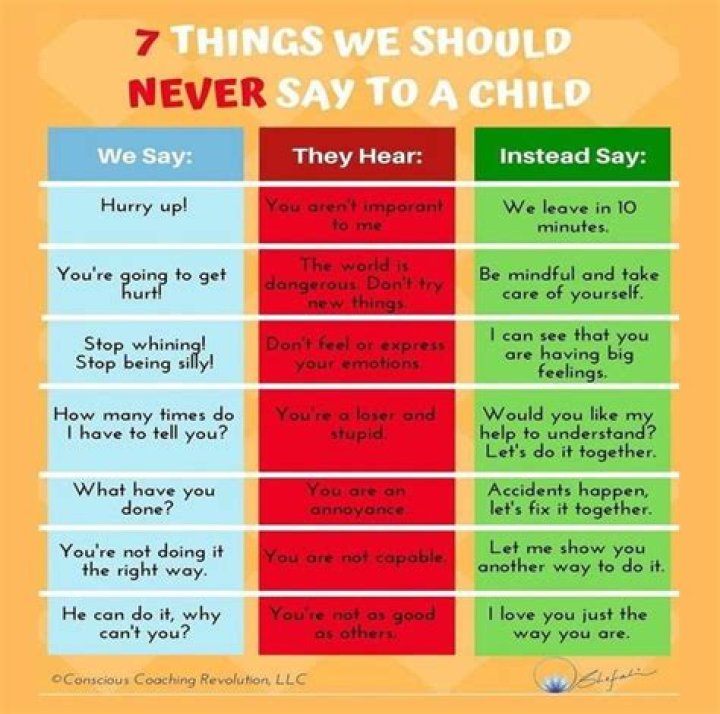 What should you not say to a dog?