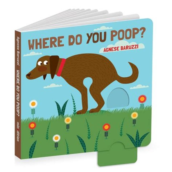 Where do you poop on Mt Everest?