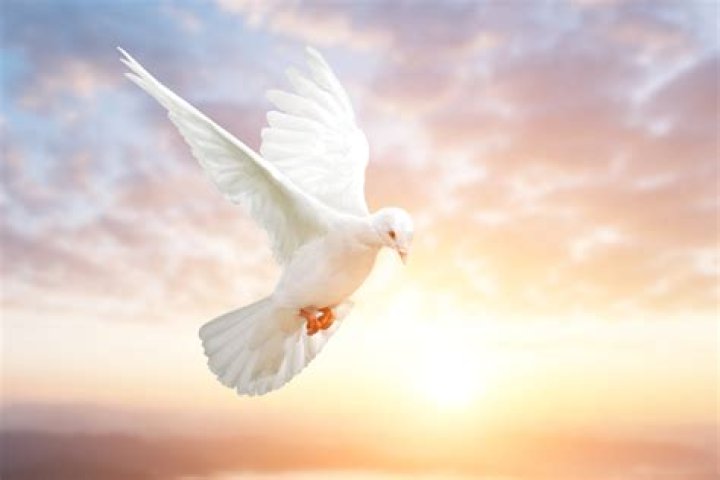 Who is the Holy Ghost and what is its role?