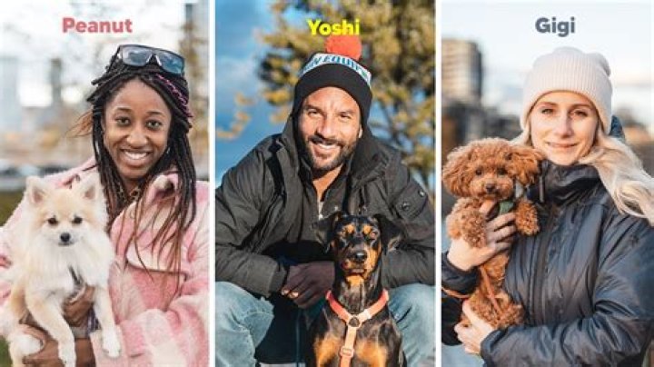 Why do pets eat their owners?