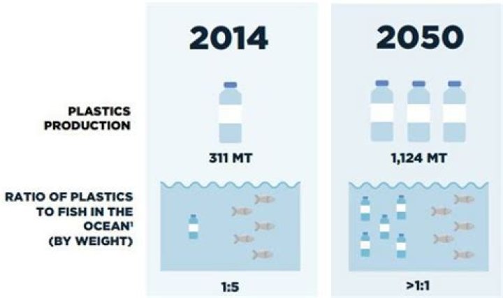 Will there be fish in 2050?